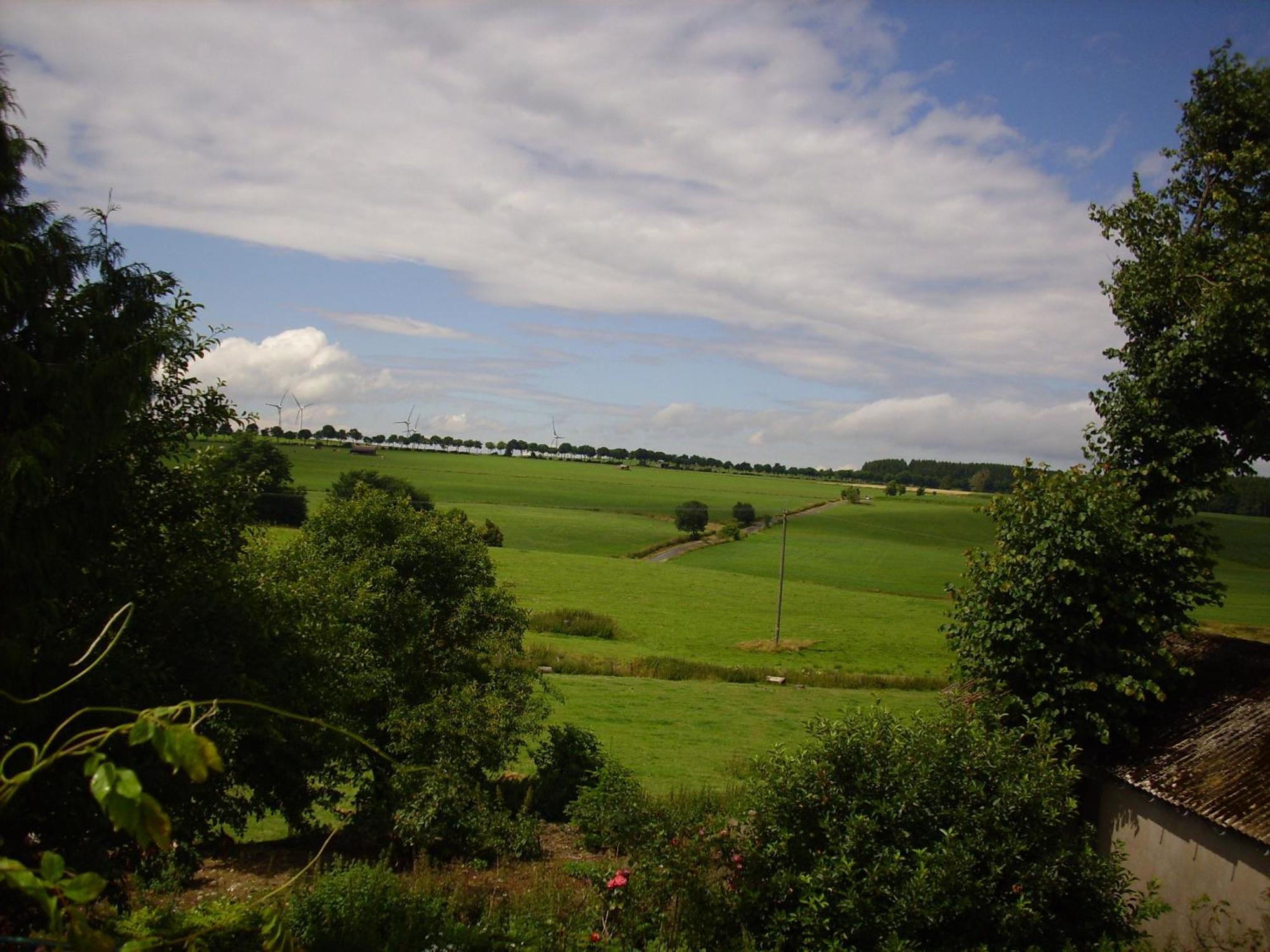 Willekes Bluetenhof Madfeld Екстер'єр фото