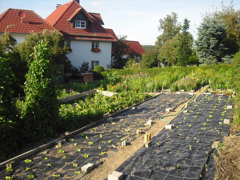 Willekes Bluetenhof Madfeld Екстер'єр фото